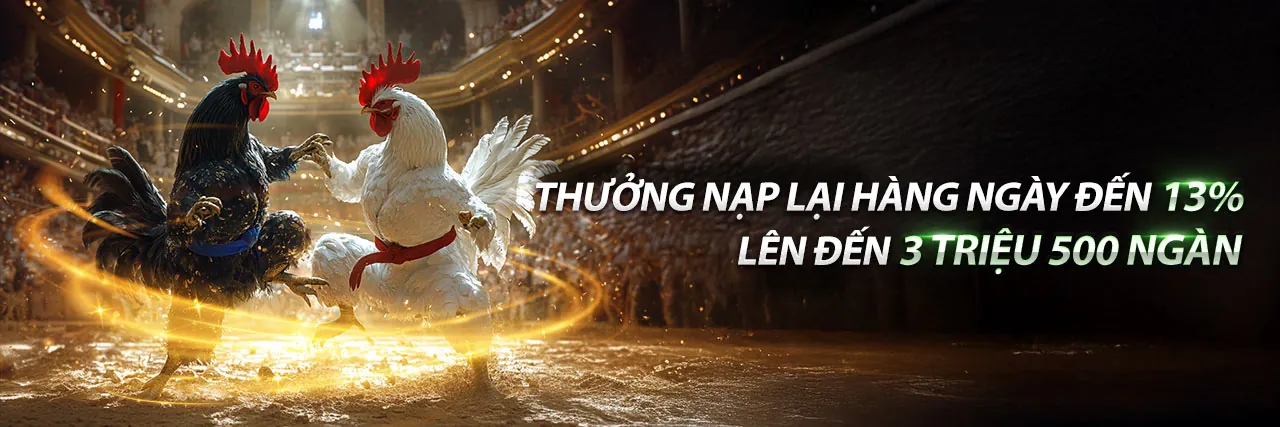 Sân vận động sôi động với logo tv888 code